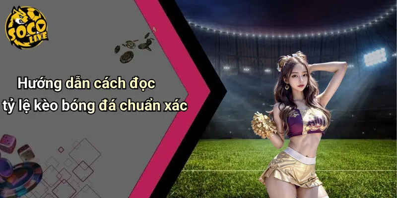 Cách Đọc Tỷ Lệ Kèo Bóng Đá