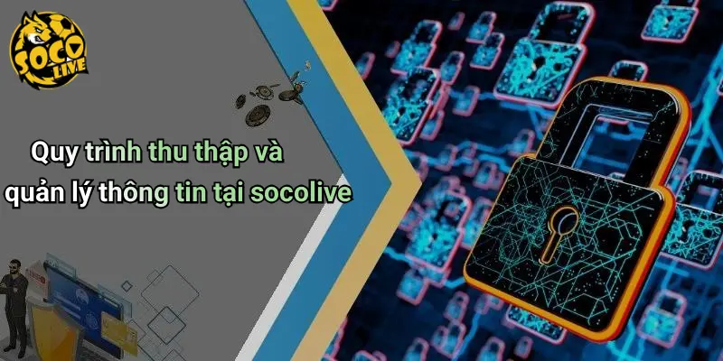 Chính Sách Bảo Mật