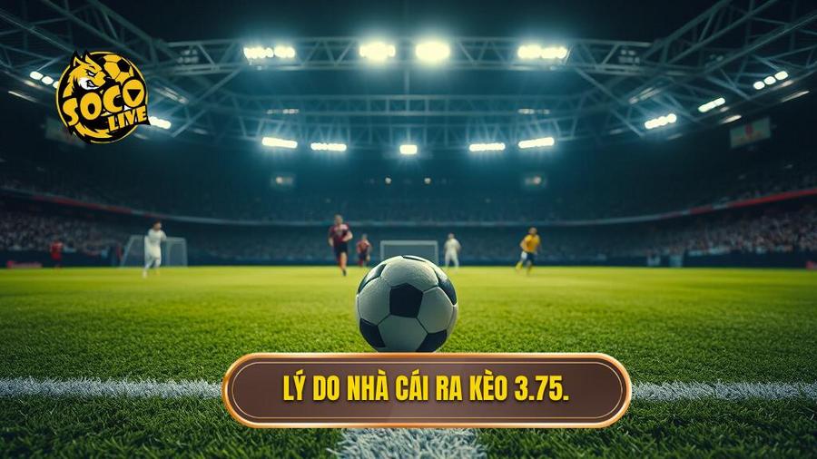 Lý do nhà cái ra kèo 3.75